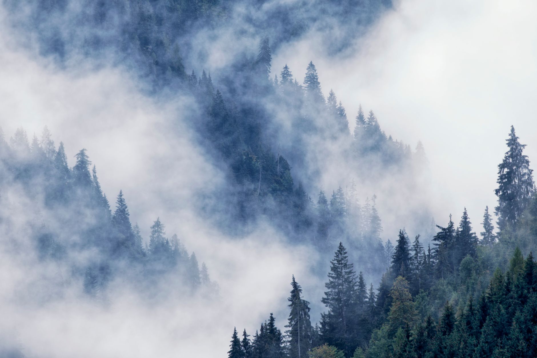Alpine valley shrouded in gentle morning fog